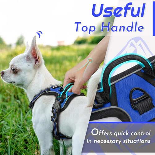 Image of Eagloo Dog Harness for Small Dogs, No Pull Pet Vest with 2 Leash Clips
