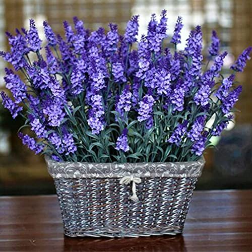 1000 Stück Lavendelsamen Produktive Landschaftsgestaltung voller Vitalität Natürliche Lavendelsämlinge für den Haushalt - Lavendel Cover