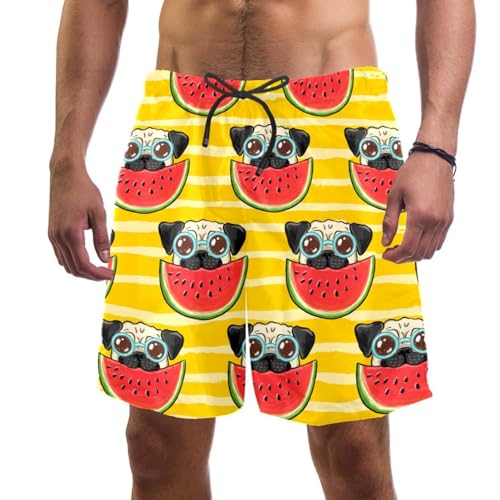 Short de bain homme mignon carlin swim shorts respirant pour été