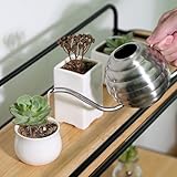 LianShi B0F17XKZT7 lato 4