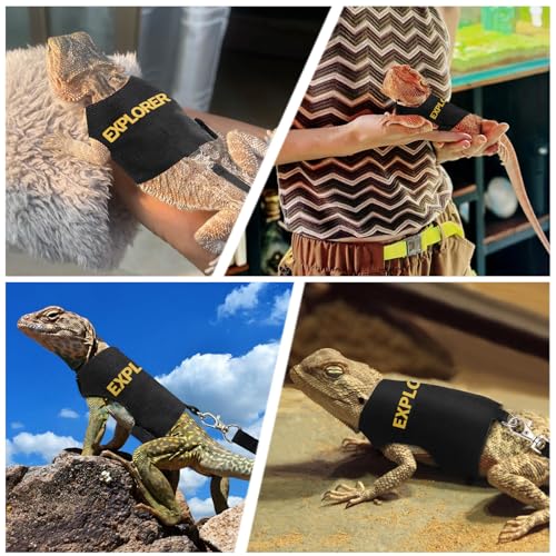 Conjunto de arnês e coleira de dragão barbudo, roupas de dragão barbudo, lagarto à prova de fuga, ré