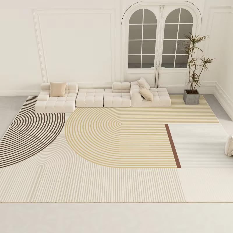 Tapis léger et luxueux moderne pour salon élégant