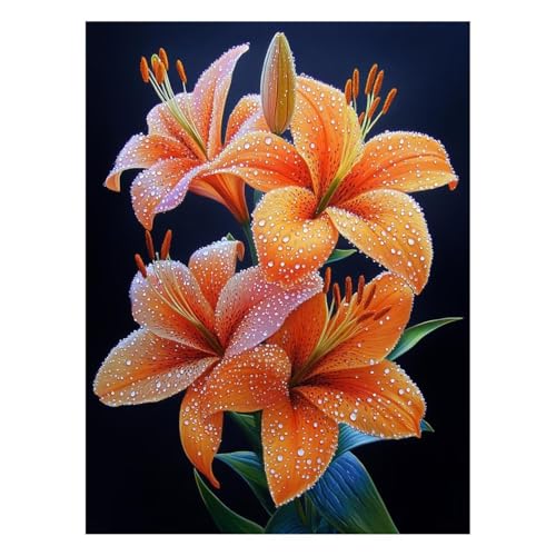 �������G �A�� �G�� ��|�L�b�g �y�C���g�o�C�i���o�[ �� ����L�b�g �� �A�N�����G�̋� �M �L�����o�X 30 x 40 cm �E�H�[���A�[�g ��� �L�����o�X�G��p�L�����r���O���[���Q���̉Ƃ̑��� �Ǐ��� �M�t�g JLYH-9701