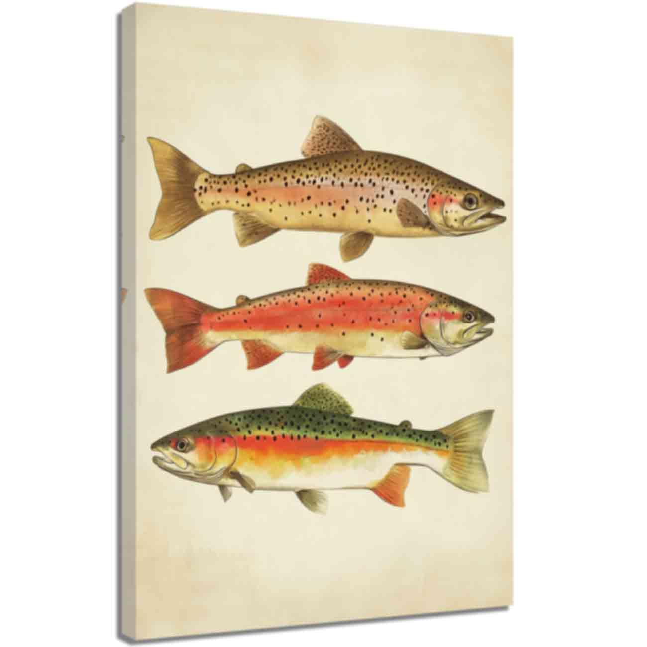 ZQQART Fish Canvas Wall Art Vintage Trout Fish Poster Prints Freshwater Bass Pictures Coastal Decoration for Angler Fishing Enthusiasts Gifts (Orange,50x75cm)