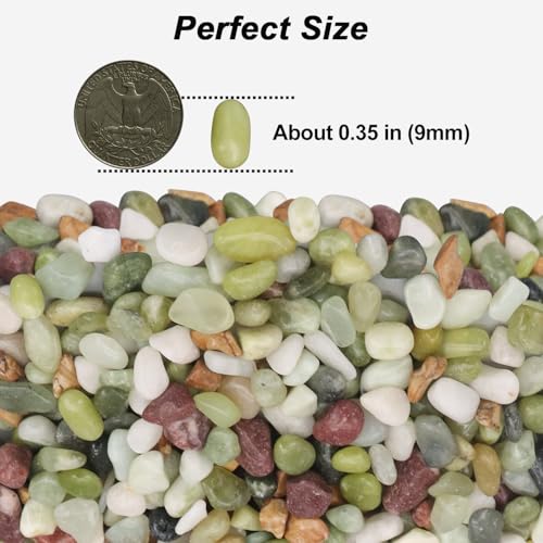 Image of Landscaping Pebbles, Green River Rocks, Ornamental Decor Stones, 5 Pounds