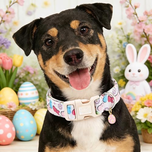 Image of Dog Collars, Easter Colorful Rabbit Print Pet Collar Holiday Cute Durable Adjustable Pendant Gift Collar with Quick Release Plastic Buckle for Large Dogs