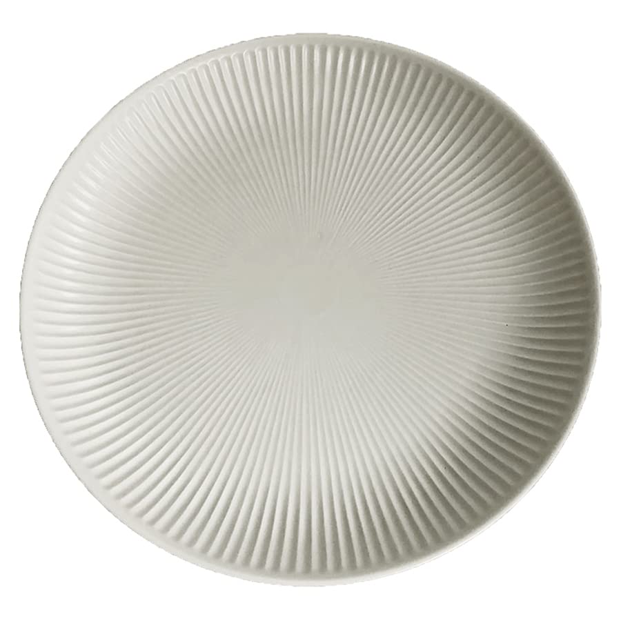 Amazon｜マルサン近藤 皿 食器 陶器 パスタ皿 Lプレート 24cm グレー