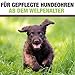 Prontocare-Vet 250ml Ohrenreiniger für Hunde und Katzen | minimiert Jucken, Brennen und Kopfschütteln