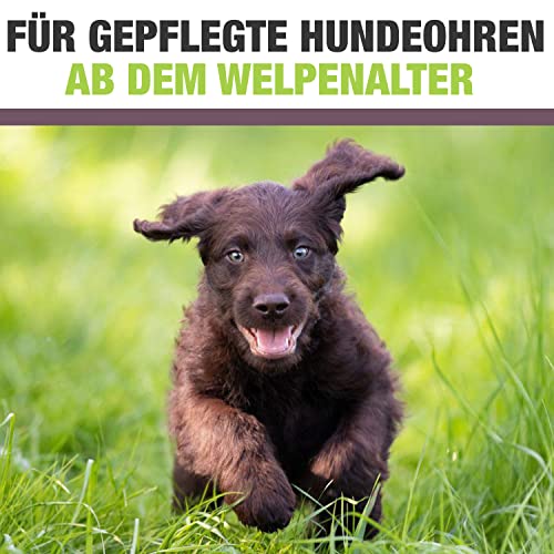 Prontocare-Vet 250ml Ohrenreiniger für Hunde und Katzen | minimiert Jucken, Brennen und Kopfschütteln