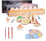 kinder eierbecher holz ▲ Perfektes Geschenk - Farbverpackungsbox. Ein lustiges und lehrreiches Geschenk für alle Altersgruppen. Es fördert die Liebe zur Wissenschaft und Paläontologie auf unterhaltsame und aufregende Weise.