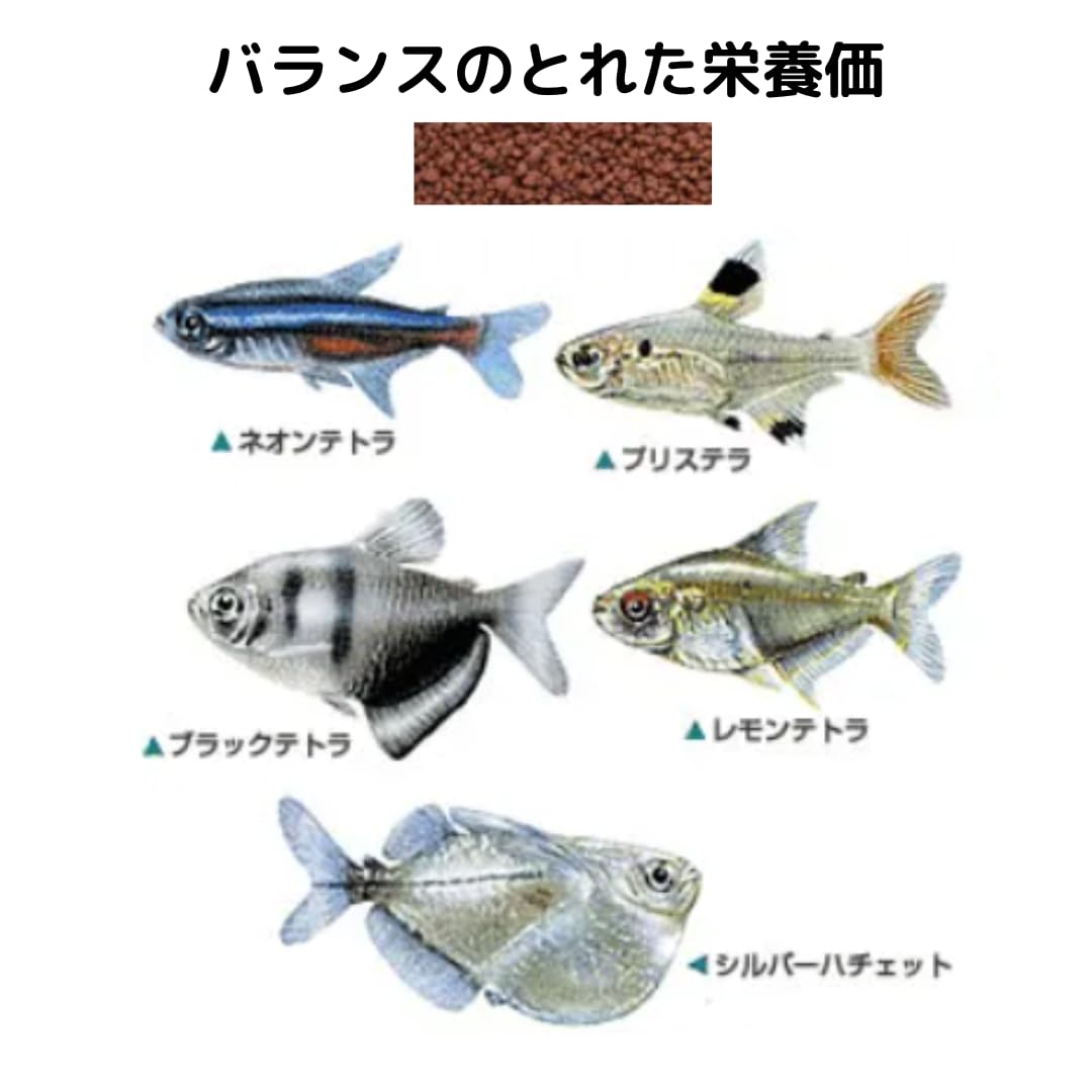 Amazon.co.jp: ひかりクレストカラシン 小型熱帯魚専用飼料 80g