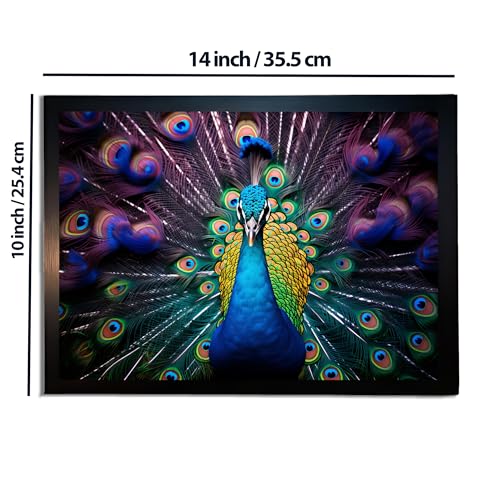 Image of redbakers.in Peacock Wall Art Print, Framed Paintings, Living Room Decor Vastu || Stylish Picture Frame for Home & Office Decoration|| Best Gift Size 10 x 14 Inch (Modern, CORA, 10 X 14 Inch)