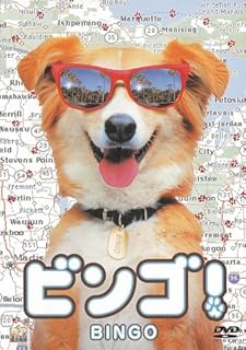 ビンゴ！（1991）のイメージ画像１