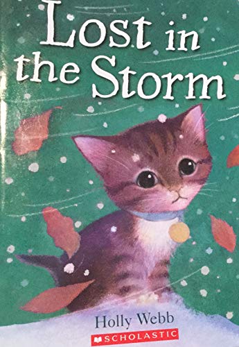 Lost in the Storm 0545079276 Book Cover