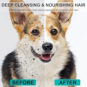 48 Pack Cleaning Glove for Dogs Cats and Pets Bathing Wipes Dry Cleaning Gloves Grooming Wipes Grooming for Dog and Cat Daily Care and Traveling 48 Pack Cleaning Glove for Dogs Cats and Pets Bathing Wipes Dry Cleaning Gloves Grooming Wipes Grooming for Dog and Cat Daily Care and Traveling