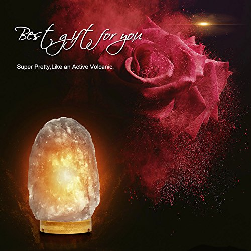 Rare Large (8-11 Lbs,8-11") Gray Grey Black Himalayan Salt Lamp Salt Rock Night Light Crystal Hand Carved Hymalain Rock Table Lamps,Platinum Base, Dimmable Touch Switch Control(3 Bulbs Included) #TOP3