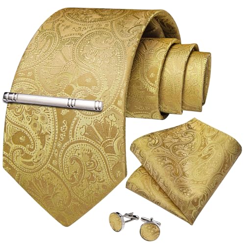 Image of DiBanGu Silk Floral Ties for Men Woven Paisley Necktie and Tie Clip Handkerchief Cufflinks Set for Party Wedding