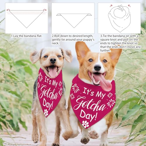 arricraft 1 Pc Pet Dog Bandana - Image 4
