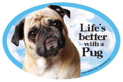 Imán decorativo Pug color beige 6 x 4 pulgadas