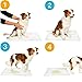Pawtastic Gear - Welpenunterlagen 90x60 cm, 5-lagige Trainingspads 50 Stück, Auslaufsicher und Strapazierfähig mit Schnell Trocknender Oberfläche, PIPI Matten für Hunde, Blau-Weiß