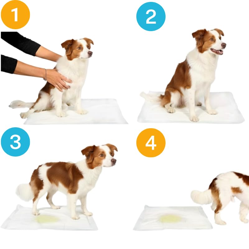 Pawtastic Gear - Welpenunterlagen 90x60 cm, 5-lagige Trainingspads 50 Stück, Auslaufsicher und Strapazierfähig mit Schnell Trocknender Oberfläche, PIPI Matten für Hunde, Blau-Weiß