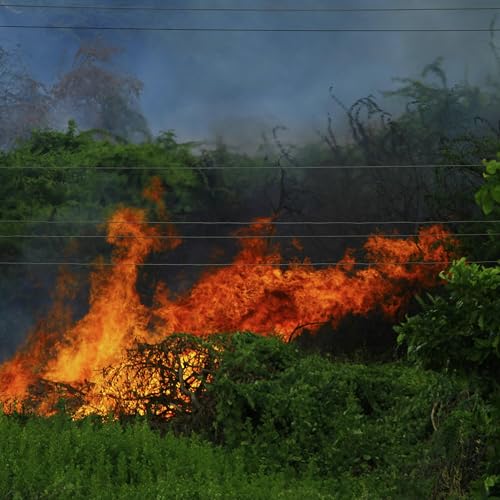 Police on alert following local Hume Freeway fires