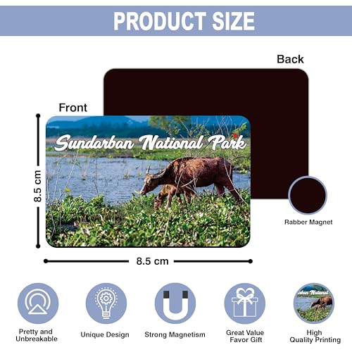 Image of Elegant Fridge Magnet with Themes |Rectangular Size Refrigerator Magnet with Magnetic Rubber Back | Pack of 1, 8.6cm X 5.4cm (Sundarban National Park)