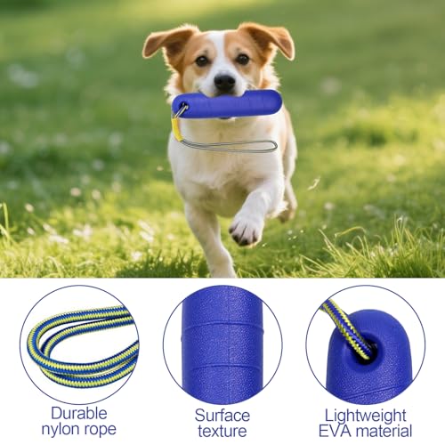Hundespielzeug, Wasserspielzeug Hund, 22CM Schwimmspielzeug Hunde, Interaktives Hundespielzeug, Hunde Spielzeug Schwimmend mit Nylon Rope für Mittelgroße Große Hunde Trainieren Apportieren im Wasser