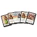 BattleCON: Raritti Sikhar Bonus Fighter Expansion