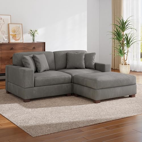 DREAMSIDEA Modular Sectional Couches for Living Room, Modern Loveseat 2-Seater
