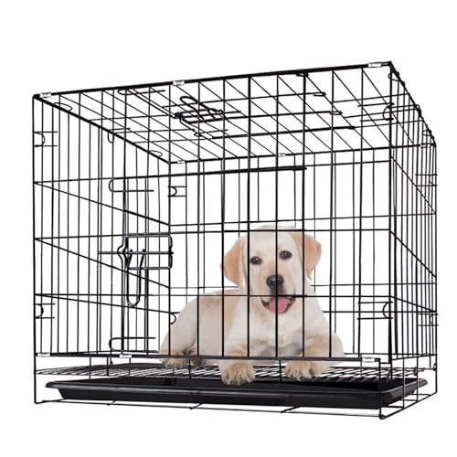 Are english mastiffs good with other dogs
