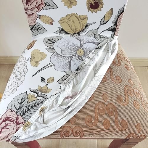Image of House of Quirk Elastic Chair Cover Stretch Removable Washable Short Dining Chair Cover Protector Seat Slipcover (Pack of 2, Biege Bliss)