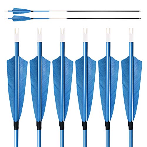 Feather Arrows 31" Archery Hunting Arrows Carbon Targeting Practice Feather Fletching Arrows for Recurve Bows and Longbow with Removable Tips