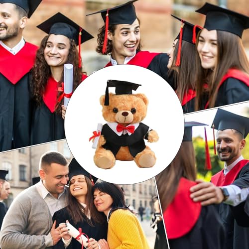 Peluche de graduación de 25 cm con gorro y toga para estudiantes 4