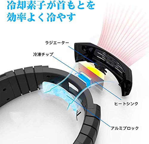 野球観戦の持ち物は 必需品や便利グッズなど倍楽しくなる持ち物12選をご紹介 暮らし の
