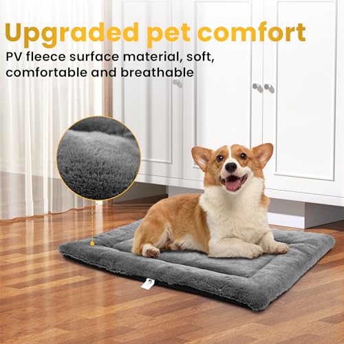 Camas para Perro, Video On Demand Imagen adicional