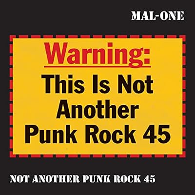 Not Another Punk Rock 45