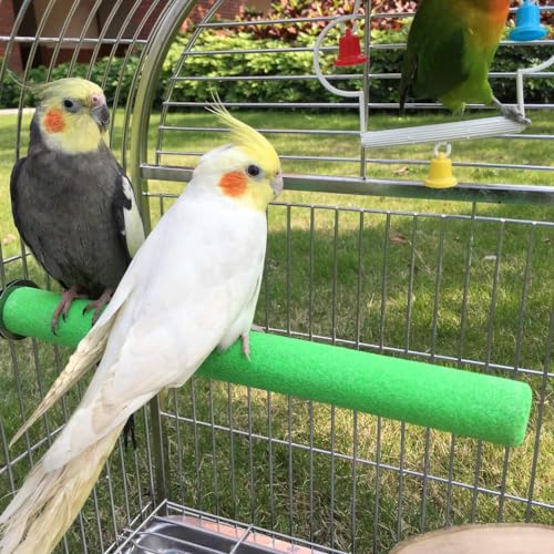 Image of Bird Perch Rough-surfaced Nature Wood Stand Toy Branch for Parrots (Straight Perch, L)