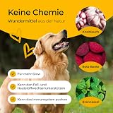 Hundpur Haut & Fell 300 g - Natürliche Fellpflege Pellets für Hunde - Mit Biotin & Zink - Ideal bei Fellwechsel - Für Gesunde Haut - Made in Germany