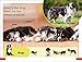 DK Super Readers Pre-Level Farm Animals