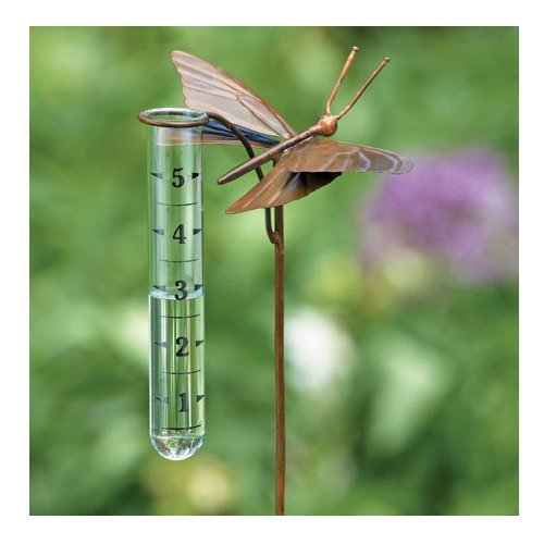 Ancient Graffiti ag-17006 Flamed Copper Butterfly pluviometro – Multicolore