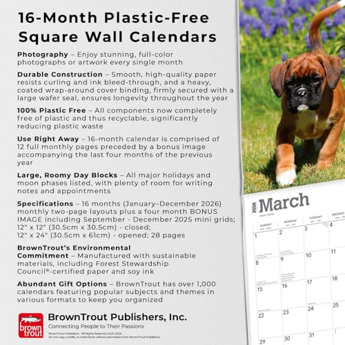 Boxer Puppies – Boxer Welpen 2026 – 16-Monatskalender: Original BrownTrout-Kalender [Mehrsprachig] [Kalender] (Wall-Kalender)