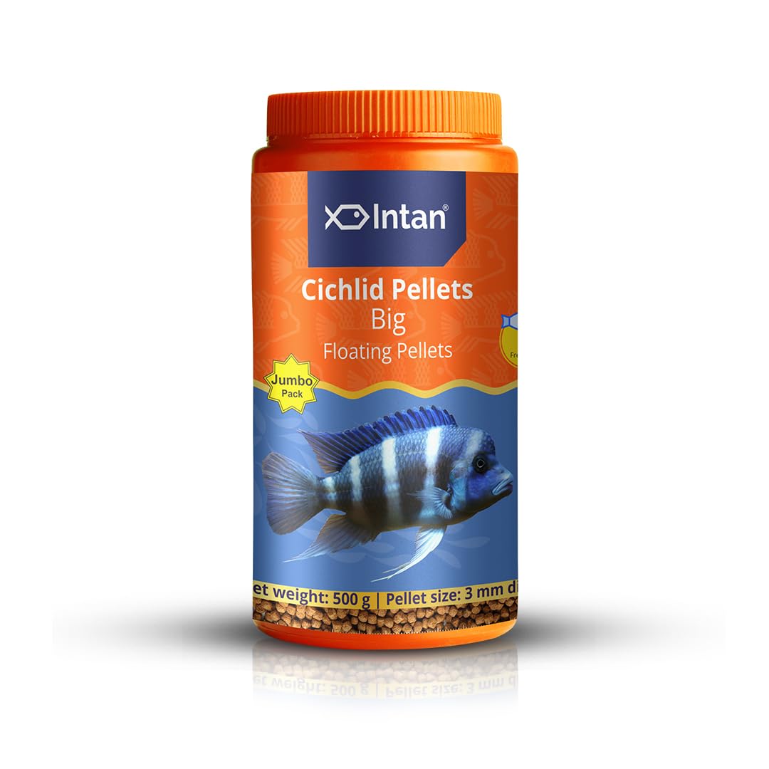 See full amazon price history chart for Growel Intan Cichlid Pellets (Big 3mm Floating) | 500gm - Highly Nutritious Ornamental Fish Food for All Varieties of Small & Big Cichlids Growel Intan Cichlid Pellets (Big 3mm Floating) | 500gm - Highly Nutritious Ornamental Fish Food for All Varieties of Small & Big Cichlids (B0CVGS1584) Amazon Price History, Amazon Price Tracker
