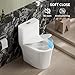 CANEST Compact One Piece Toilet for Bathrooms, Round Small Toilet with Siphon Dual Flush and MAP 1000g, Quiet Soft Close Seat, Space Saving, Standard 12