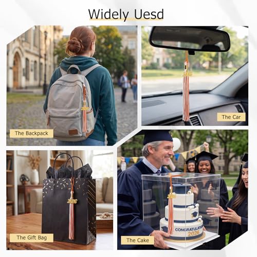 Image of GraduationMall Single&Multiple Color Graduation Tassel with 2026 Year Charm 9 inch
