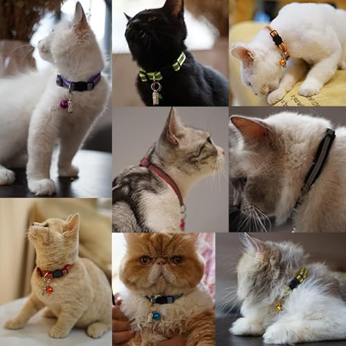 Extodry 12 Stück Reflektierende Katzenhalsband mit Namen Adresse und Halsband Katze mit Sicherheitsverschluss,Verstellbar Kitten Halsband,Personalisiert Haustierzubehör(12 Farben & 2 ID Tag)