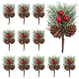 Value Pack: You will get 12 pcs Christmas floral picks in total. Enough quantity to meet your needs for Christmas home and party decoration. Size: Each Christmas picks measures approx. 3.5 inches in length, allowing for easy incorporation into variou...