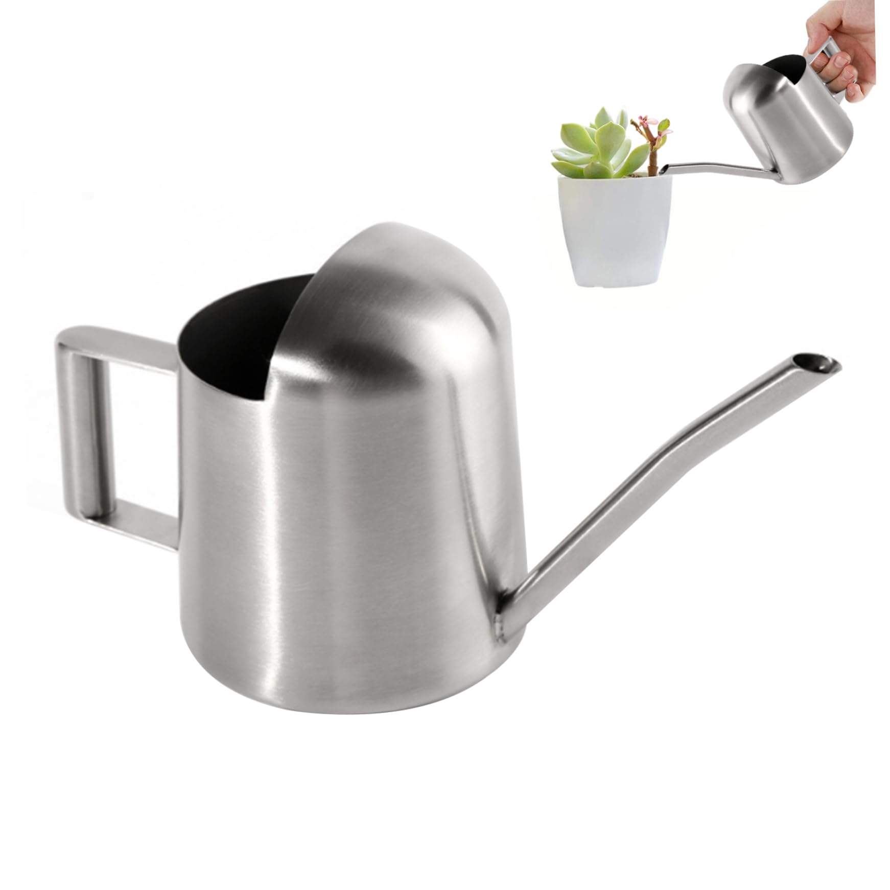 Mini arrosoir pour enfants et petit arrosoir en acier inoxydable 300ml argent