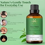 AVD Organics Olejek eteryczny z drzewa herbacianego 30 ml | 100% czysty i naturalny olejek z drzewa herbacianego |do aromaterapii, odprężający skórę i włosy, 1 fl. oz