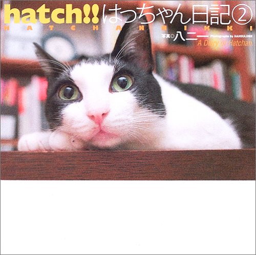 hatch!!はっちゃん日記 2 | 八二 一 |本 | 通販 | Amazon